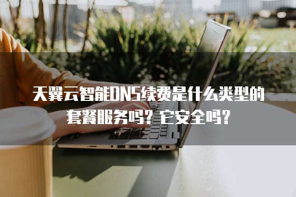 天翼云智能DNS续费是什么类型的套餐服务吗？它安全吗？
