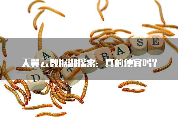 天翼云数据湖探索：真的便宜吗？