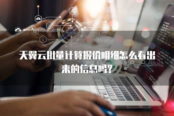 天翼云批量计算报价明细怎么看出来的信息吗?
