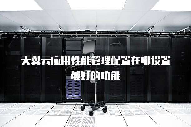 天翼云应用性能管理配置在哪设置最好的功能