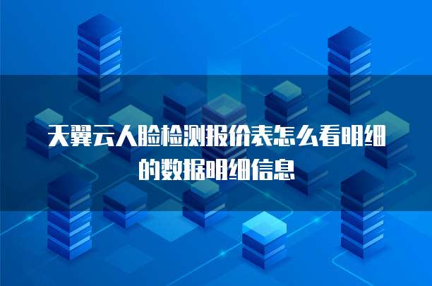 天翼云人脸检测报价表怎么看明细的数据明细信息