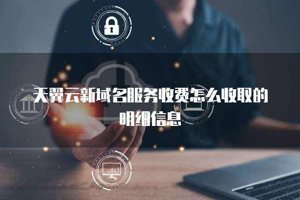 天翼云新域名服务收费怎么收取的明细信息