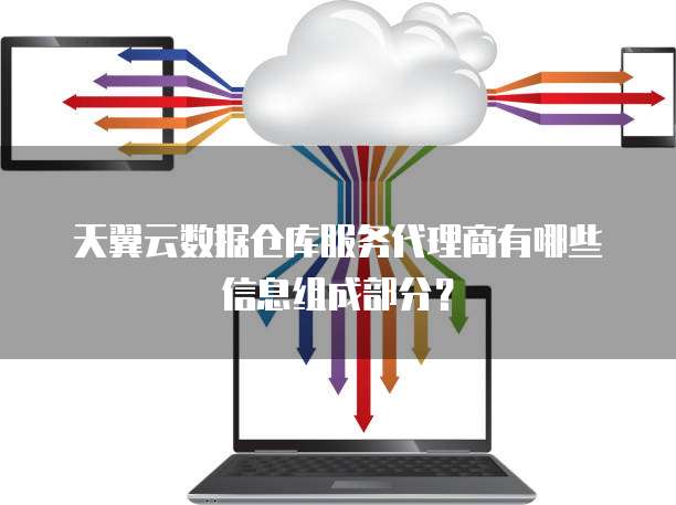 天翼云数据仓库服务代理商有哪些信息组成部分?