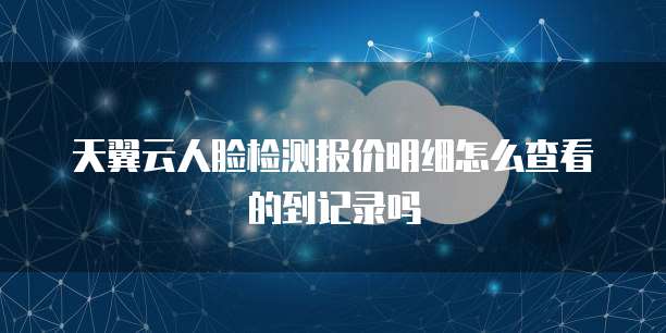 天翼云人脸检测报价明细怎么查看的到记录吗