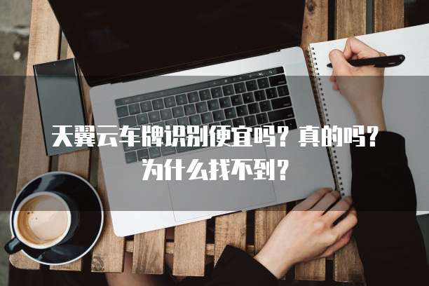 天翼云车牌识别便宜吗?真的吗?为什么找不到?