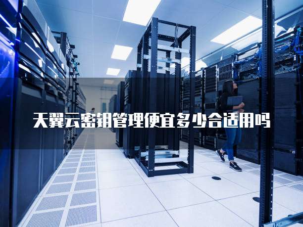 天翼云密钥管理便宜多少合适用吗