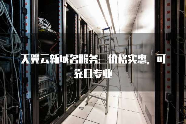 天翼云新域名服务：价格实惠，可靠且专业
