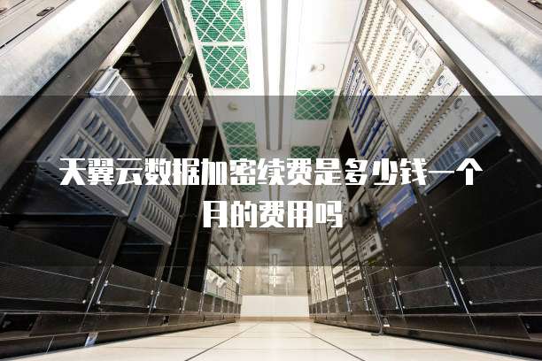天翼云数据加密续费是多少钱一个月的费用吗