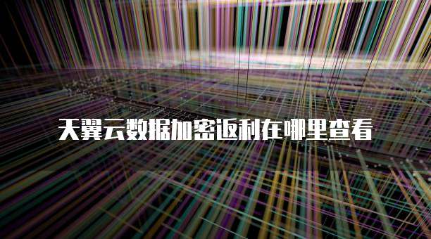 天翼云数据加密返利在哪里查看