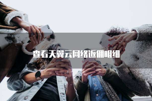 查看天翼云网络返佣明细