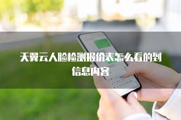 天翼云人脸检测报价表怎么看的到信息内容