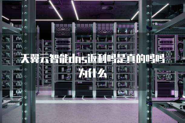 天翼云智能dns返利吗是真的吗吗为什么