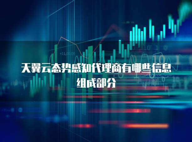 天翼云态势感知代理商有哪些信息组成部分