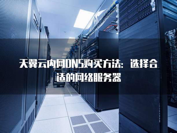 天翼云内网DNS购买方法:选择合适的网络服务器