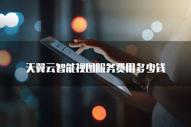 天翼云智能视图服务费用多少钱