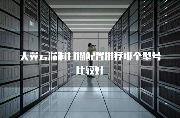 天翼云漏洞扫描配置推荐哪个型号比较好
