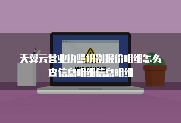 天翼云营业执照识别报价明细怎么查信息明细信息明细