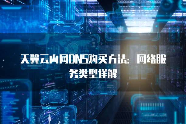 天翼云内网DNS购买方法:网络服务类型详解