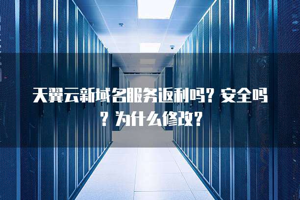 天翼云新域名服务返利吗?安全吗?为什么修改?