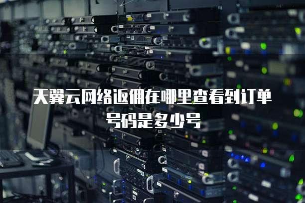 天翼云网络返佣在哪里查看到订单号码是多少号
