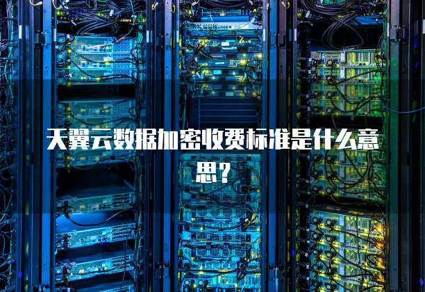 天翼云数据加密收费标准是什么意思？