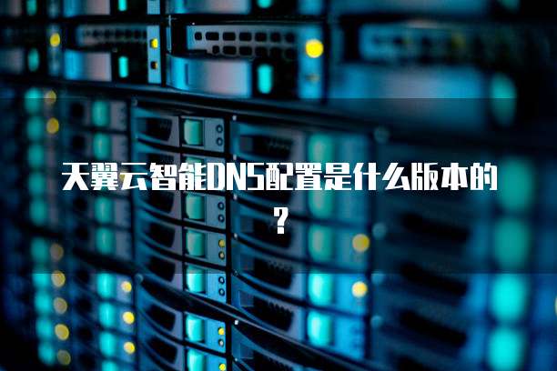 天翼云智能DNS配置是什么版本的?