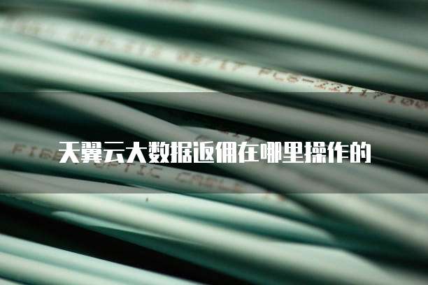 天翼云大数据返佣在哪里操作的