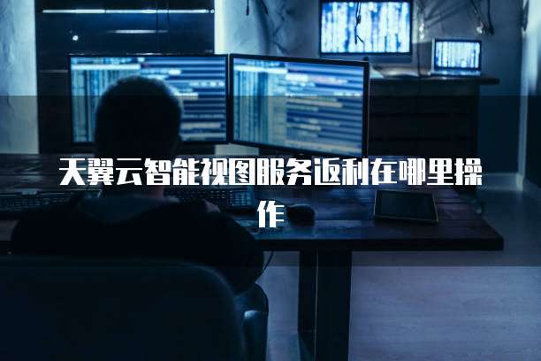 天翼云智能视图服务返利在哪里操作