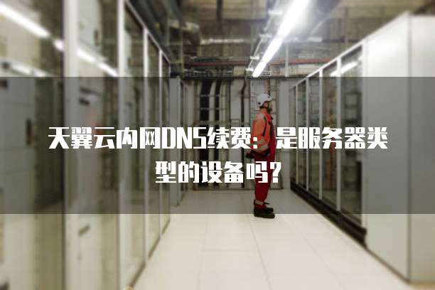 天翼云内网DNS续费:是服务器类型的设备吗?