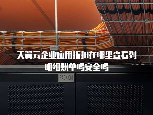 天翼云企业应用折扣在哪里查看到明细账单吗安全吗