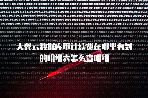 天翼云数据库审计续费在哪里看到的明细表怎么查明细