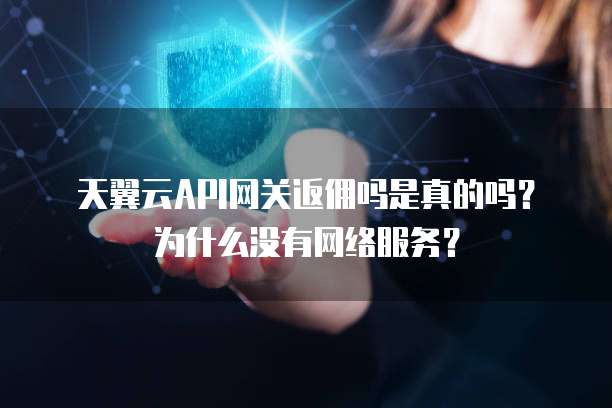 天翼云API网关返佣吗是真的吗?为什么没有网络服务?
