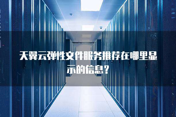 天翼云弹性文件服务推荐在哪里显示的信息?