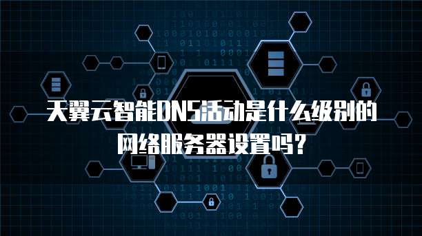 天翼云智能DNS活动是什么级别的网络服务器设置吗？