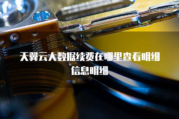 天翼云大数据续费在哪里查看明细信息明细