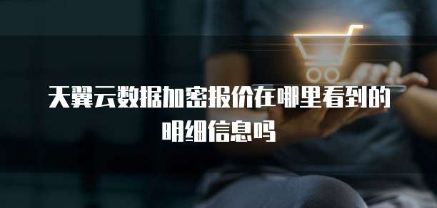 天翼云数据加密报价在哪里看到的明细信息吗
