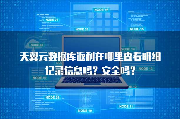 天翼云数据库返利在哪里查看明细记录信息吗?安全吗?