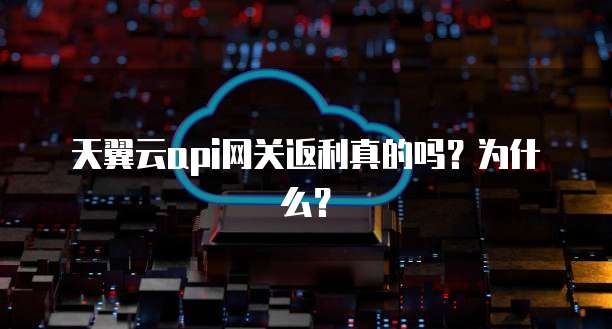 天翼云api网关返利真的吗?为什么?