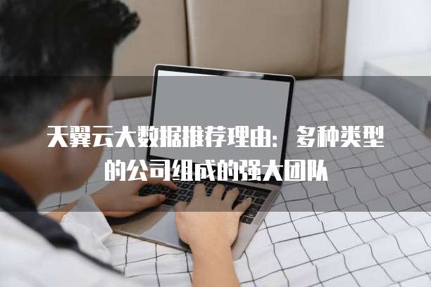 天翼云大数据推荐理由：多种类型的公司组成的强大团队