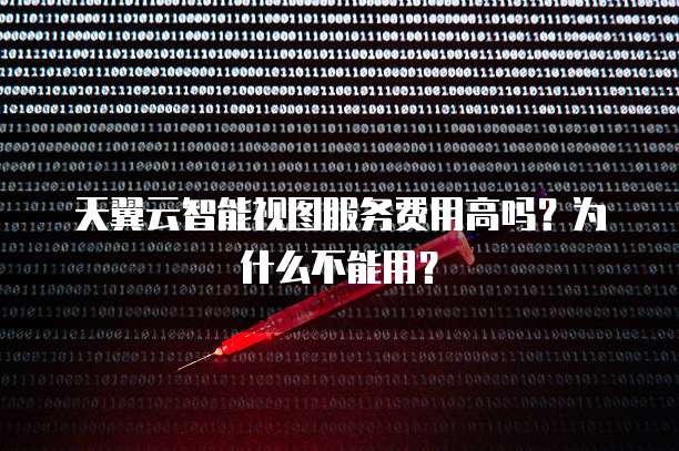 天翼云智能视图服务费用高吗?为什么不能用?