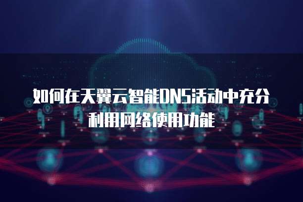 如何在天翼云智能DNS活动中充分利用网络使用功能