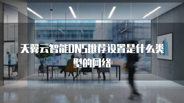 天翼云智能DNS推荐设置是什么类型的网络