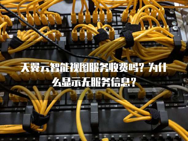天翼云智能视图服务收费吗?为什么显示无服务信息?