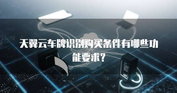 天翼云车牌识别购买条件有哪些功能要求？
