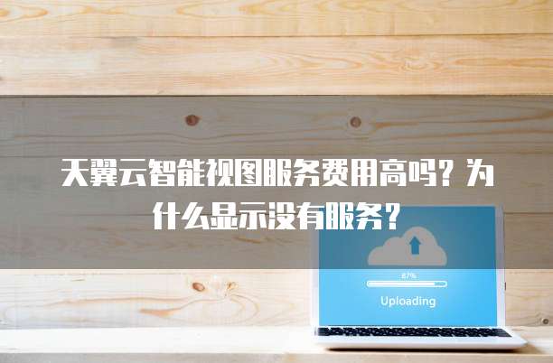 天翼云智能视图服务费用高吗?为什么显示没有服务?
