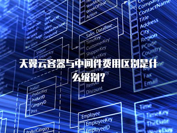 天翼云容器与中间件费用区别是什么级别?