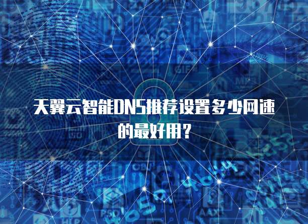 天翼云智能DNS推荐设置多少网速的最好用?