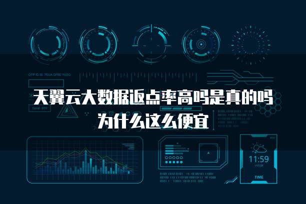 天翼云大数据返点率高吗是真的吗为什么这么便宜