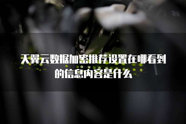 天翼云数据加密推荐设置在哪看到的信息内容是什么