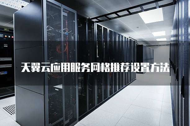 天翼云应用服务网格推荐设置方法